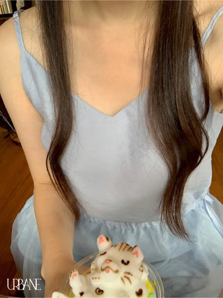 Ribbon sheer layered bustier dress