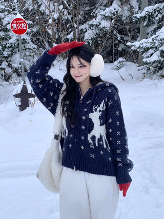 Nordic pattern knit hoodie
