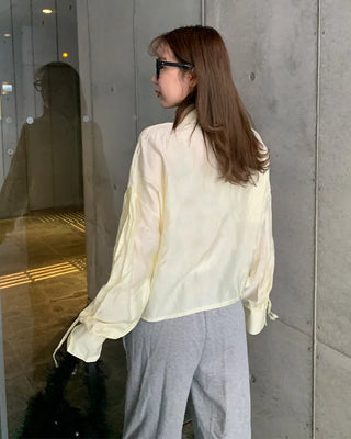 Sleeve Drawstring Cropped Sheer Shirt