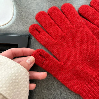 Long Warmer Gloves