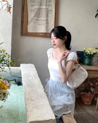 Flower sheer layered dress