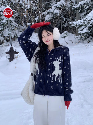 [Smartphone Compatible] Knit Gloves