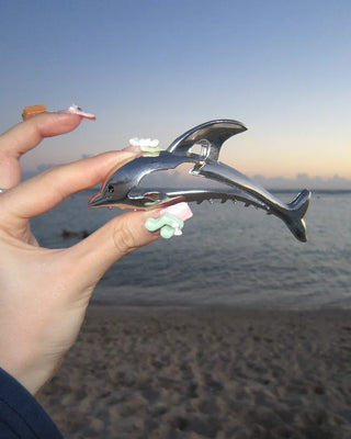 Silver dolphin hair clip