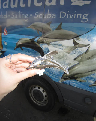 Silver dolphin hair clip