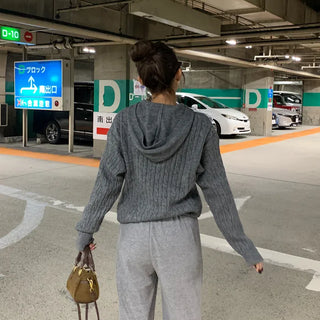 Cable Hoodie Knit