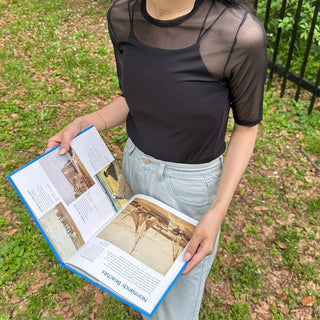 Sheer Half-Sleeve T-Shirt