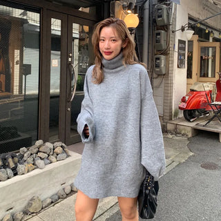 Turtleneck knit dress
