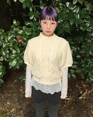 Butterfly Lace See-Through Cut and Sew Top