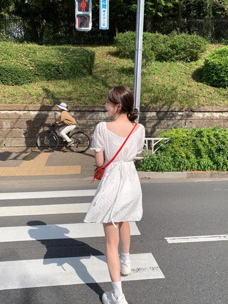 [Lined] Flower Punching Dress (2 colors)