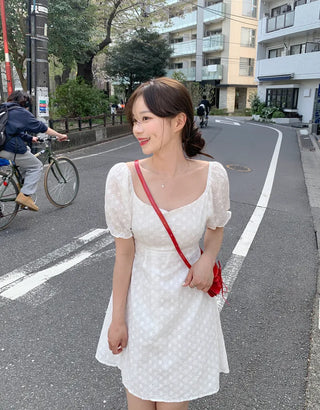 [Lined] Flower Punching Dress (2 colors)