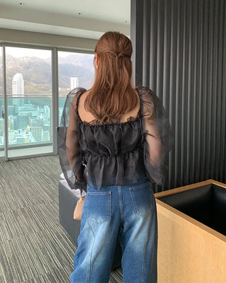Organza chiffon shirred blouse