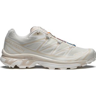 [Salomon] XT-6