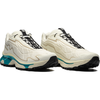[Salomon] XT-SLATE