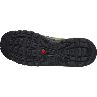 [Salomon] ACS + SEASONAL