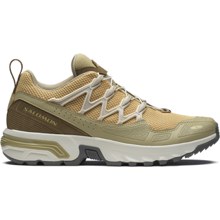 [Salomon] ACS + SEASONAL