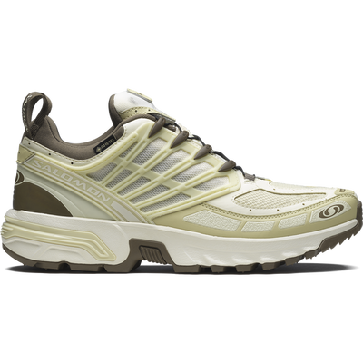 [Salomon] ACS PRO GORE-TEX