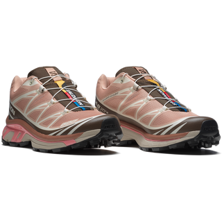 [Salomon] XT-6