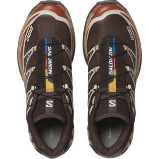[Salomon] XT-6