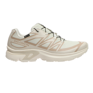 [Salomon] XT-EVR GORE-TEX