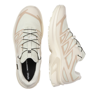 [Salomon] XT-EVR GORE-TEX