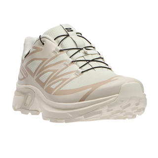[Salomon] XT-EVR GORE-TEX