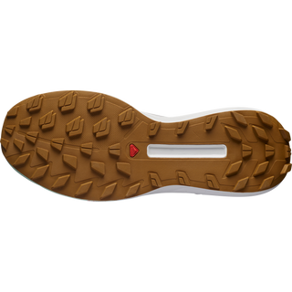 [Salomon] S/LAB GENESIS LIMITED COURTNEY EDITION 2