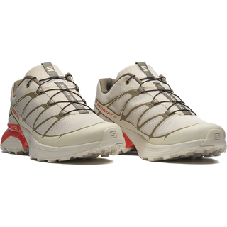 [Salomon] XT-PATHWAY 2