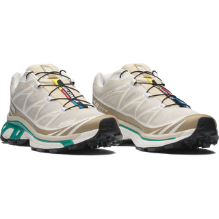 [Salomon] XT-6