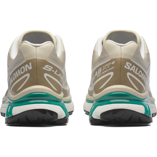 [Salomon] XT-6