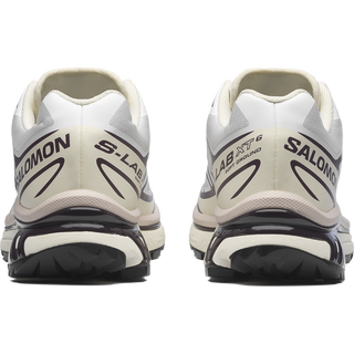 [Salomon] XT-6