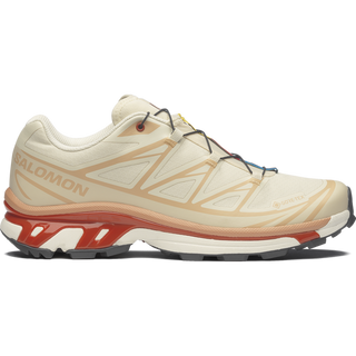 [Salomon] XT-6 GORE-TEX