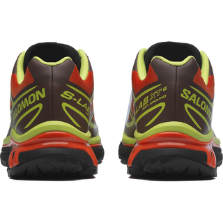 [Salomon] XT-6