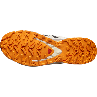 [Salomon] XA PRO 3D V9 GORE-TEX