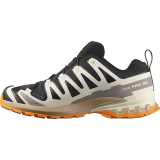 [Salomon] XA PRO 3D V9 GORE-TEX