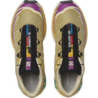 [Salomon] XT-6