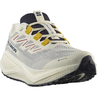 [Salomon] AERO BLAZE 3 GRVL GORE-TEX