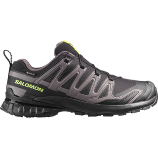 [Salomon] XA PRO 3D V9 GORE-TEX
