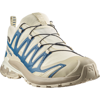 [Salomon] XA PRO 3D V9 GORE-TEX