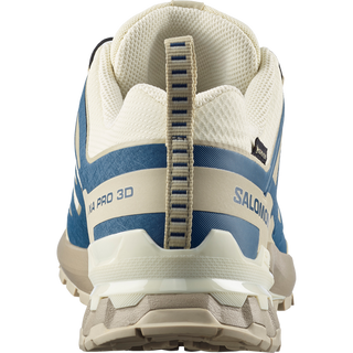 [Salomon] XA PRO 3D V9 GORE-TEX