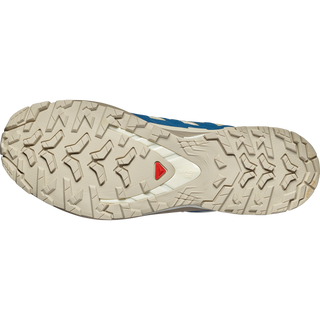 [Salomon] XA PRO 3D V9 GORE-TEX