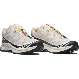 [Salomon] XT-6