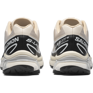 [Salomon] XT-6