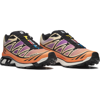 [Salomon] XT-6