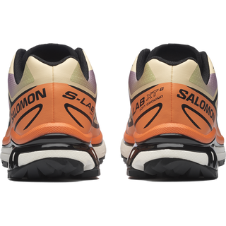 [Salomon] XT-6