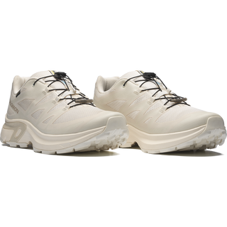 [Salomon] XT-EVR GORE-TEX