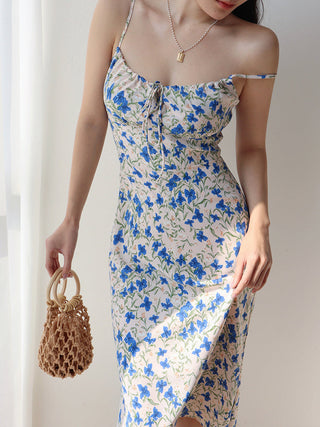 blue butterfly suspender Dress