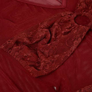 V neck long sleeve o ring lace mesh top