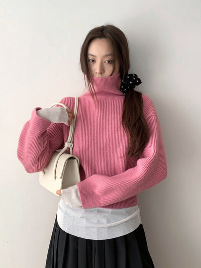 High Collar Knitted Crop Sweater