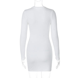 Crewneck long sleeve flower print mini dress