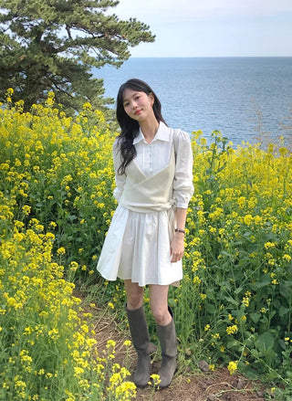 Pleated collar dress